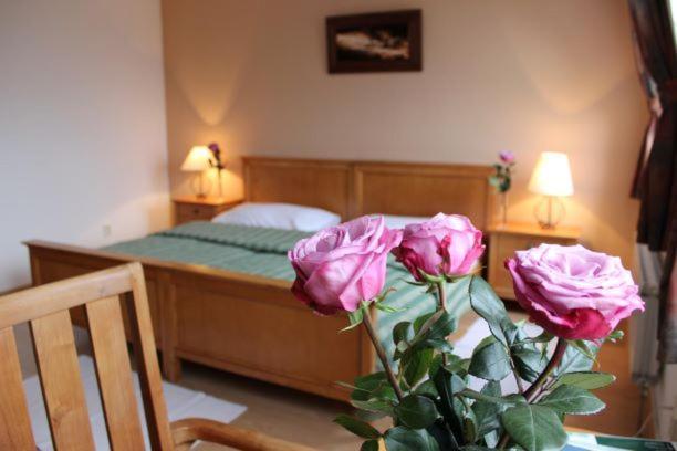 Kastiel Agatka Hotel Chorvatsky Grob Luaran gambar